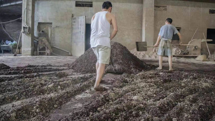 茅臺(tái)硅茅酒零售價(jià)與旅游開(kāi)發(fā)項(xiàng)目策劃咨詢