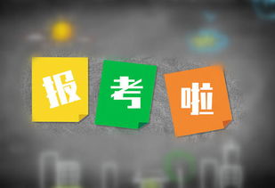 南京高升專學(xué)嘉供旅游開(kāi)發(fā)項(xiàng)目策劃咨詢